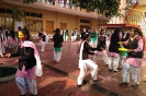 holi_2