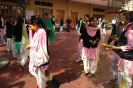 holi_3