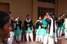 holi_5